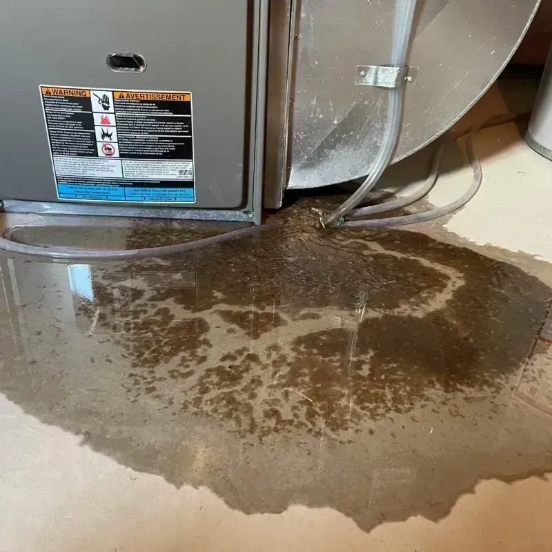 Appliance Leak Cleanup in Rogersville, MO